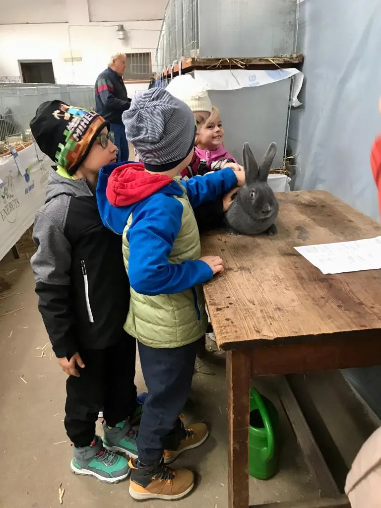 v_rij_24 (35).webp